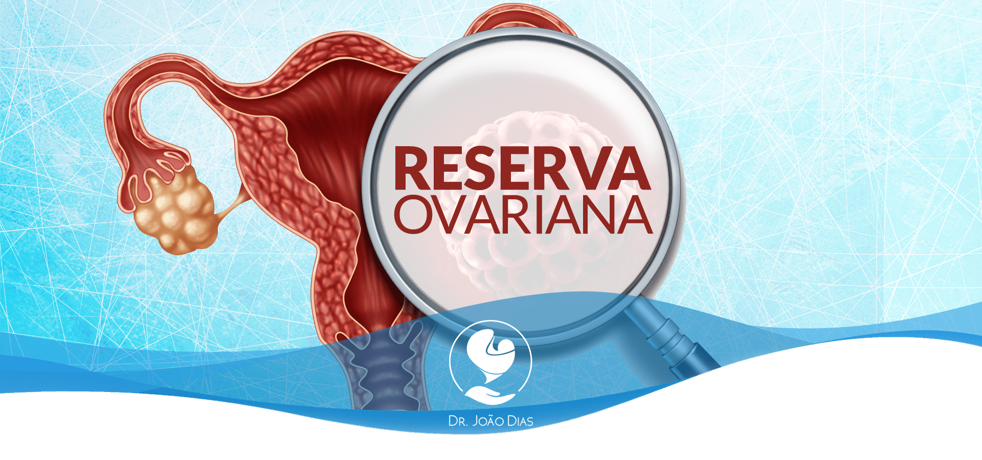 O que é reserva ovariana e qual sua relação com a fertilidade?