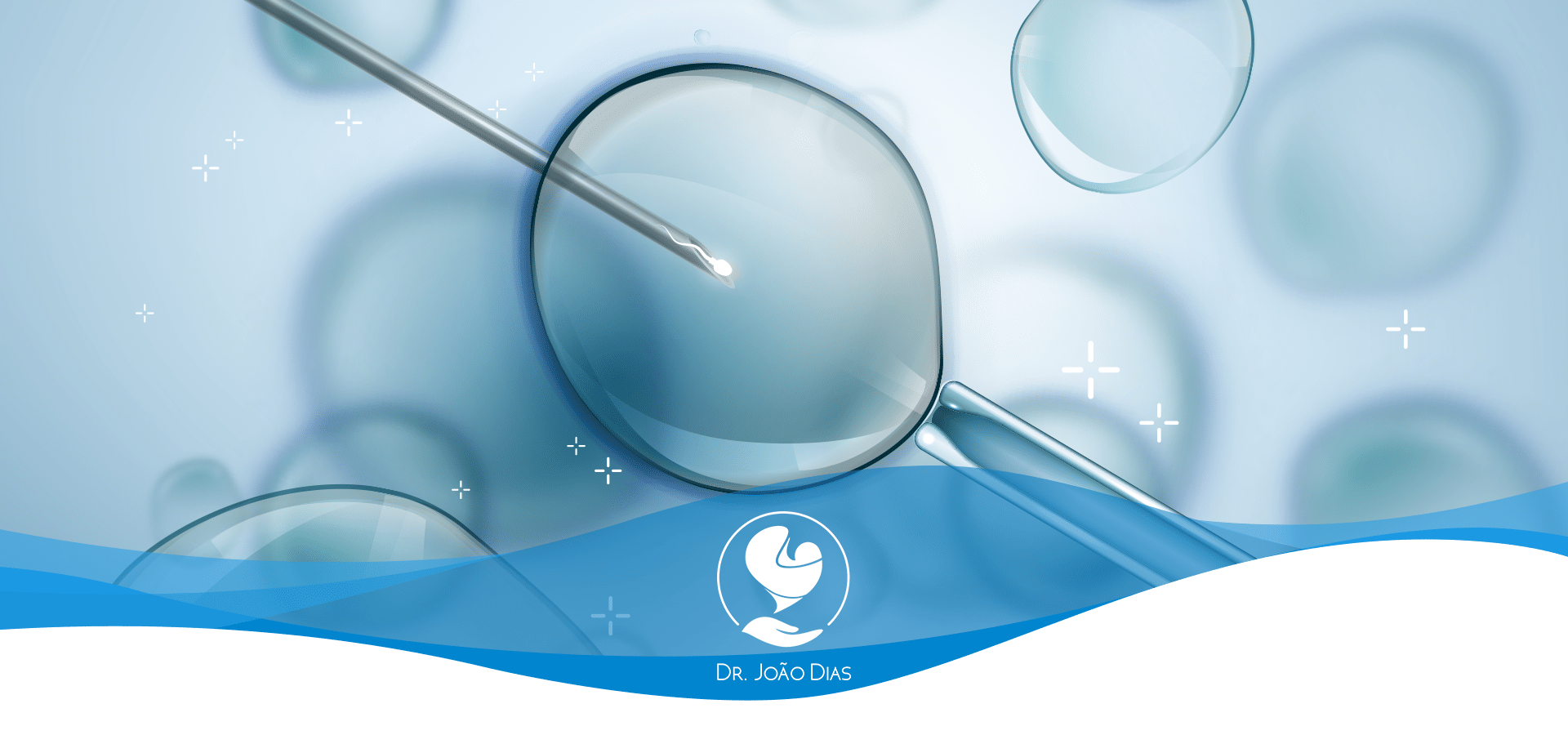 Fertilização in vitro (FIV): qual a taxa de sucesso da técnica?